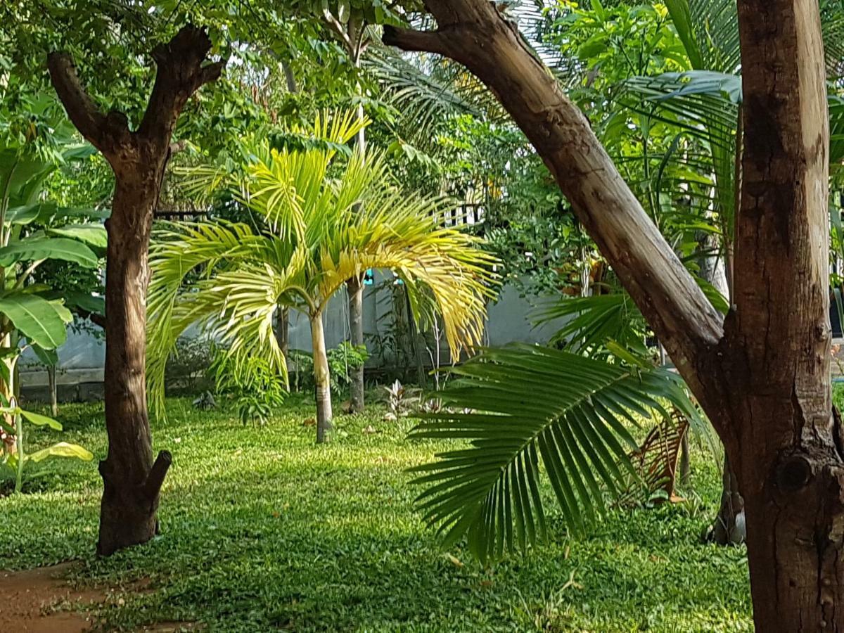 Luna Beach Hotel Nilaveli Exteriör bild